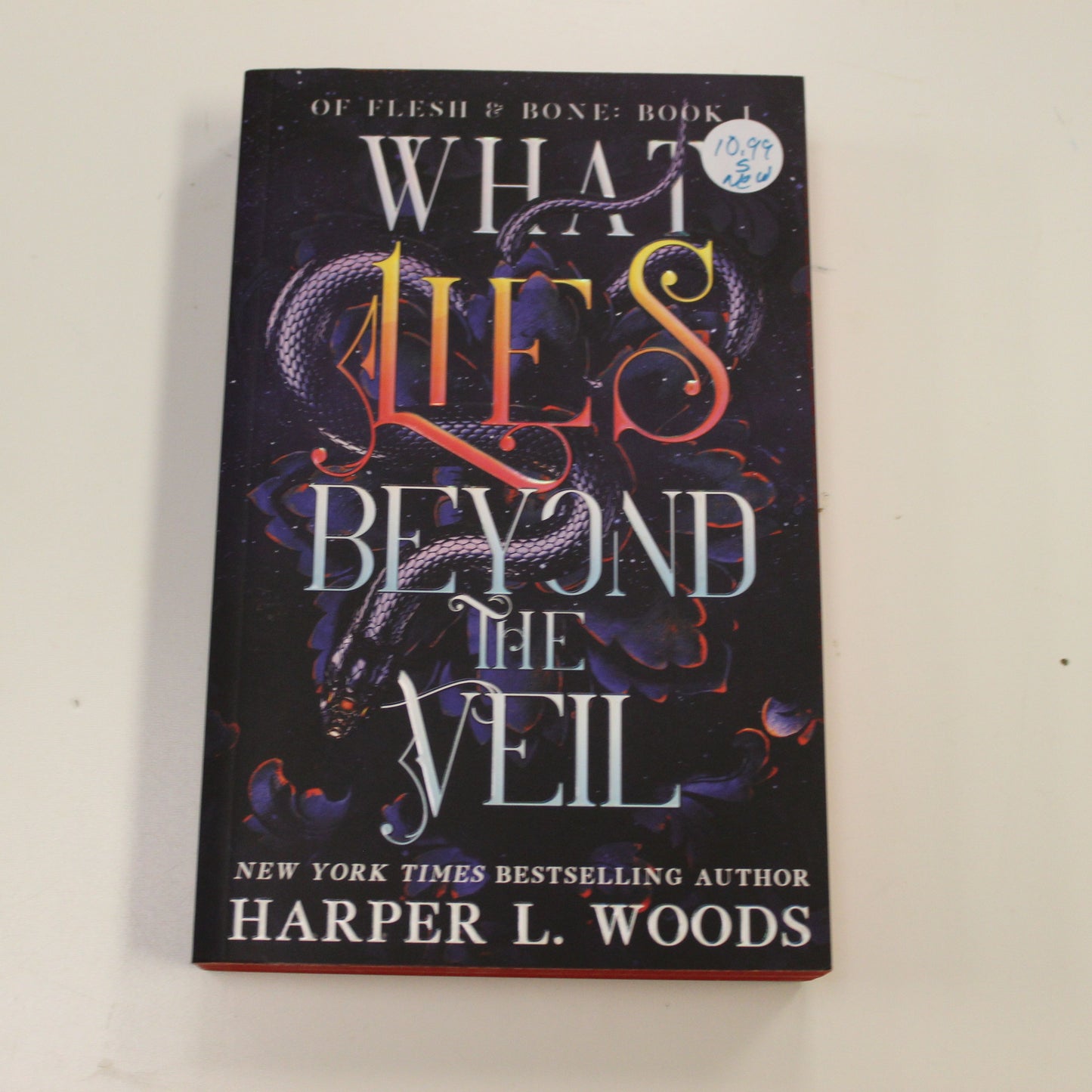 WHAT LIES BEYOND THE VEIL BOOK I