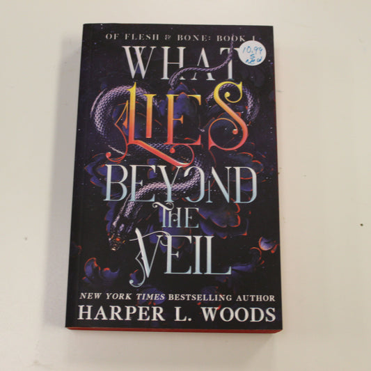 WHAT LIES BEYOND THE VEIL BOOK I
